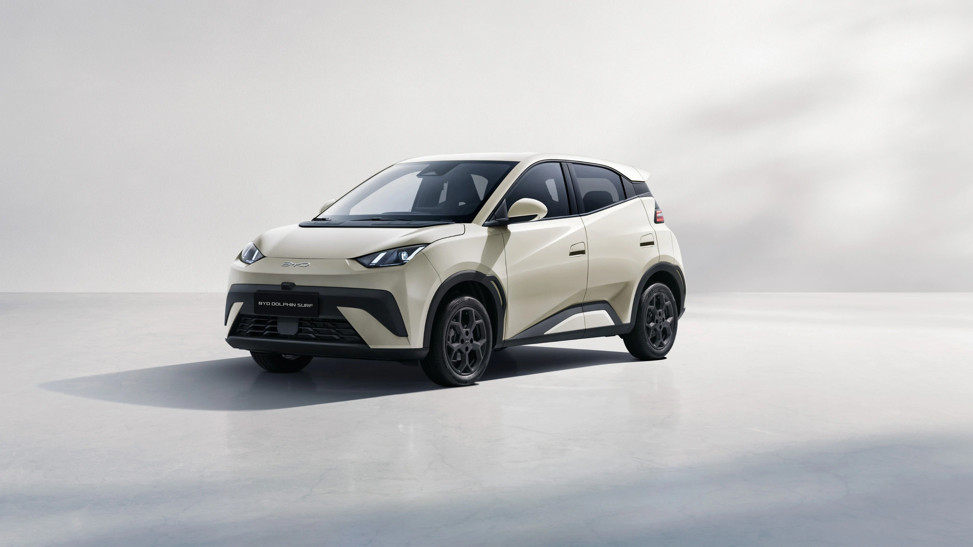 尊龙凯时 DOLPHIN SURF Comfort