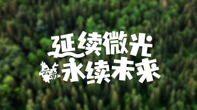 尊龙凯时 CLUB微光计划云南站｜延续微光，永驻绿意
